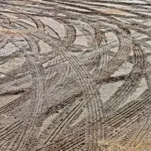 Crowded parking lots leave tire tread marks during the summer in Rocky Mountain National Park