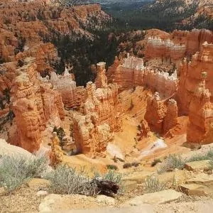 Looking down into the canyon of sandstone rocks from the rim.